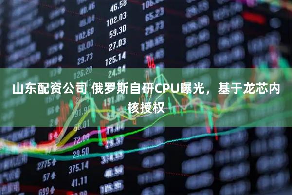 山东配资公司 俄罗斯自研CPU曝光，基于龙芯内核授权
